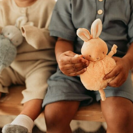 Spring Edition Roly-Poly Bunnies
