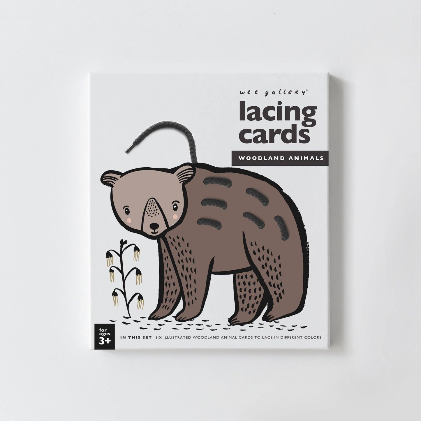 Animal Lacing Cards