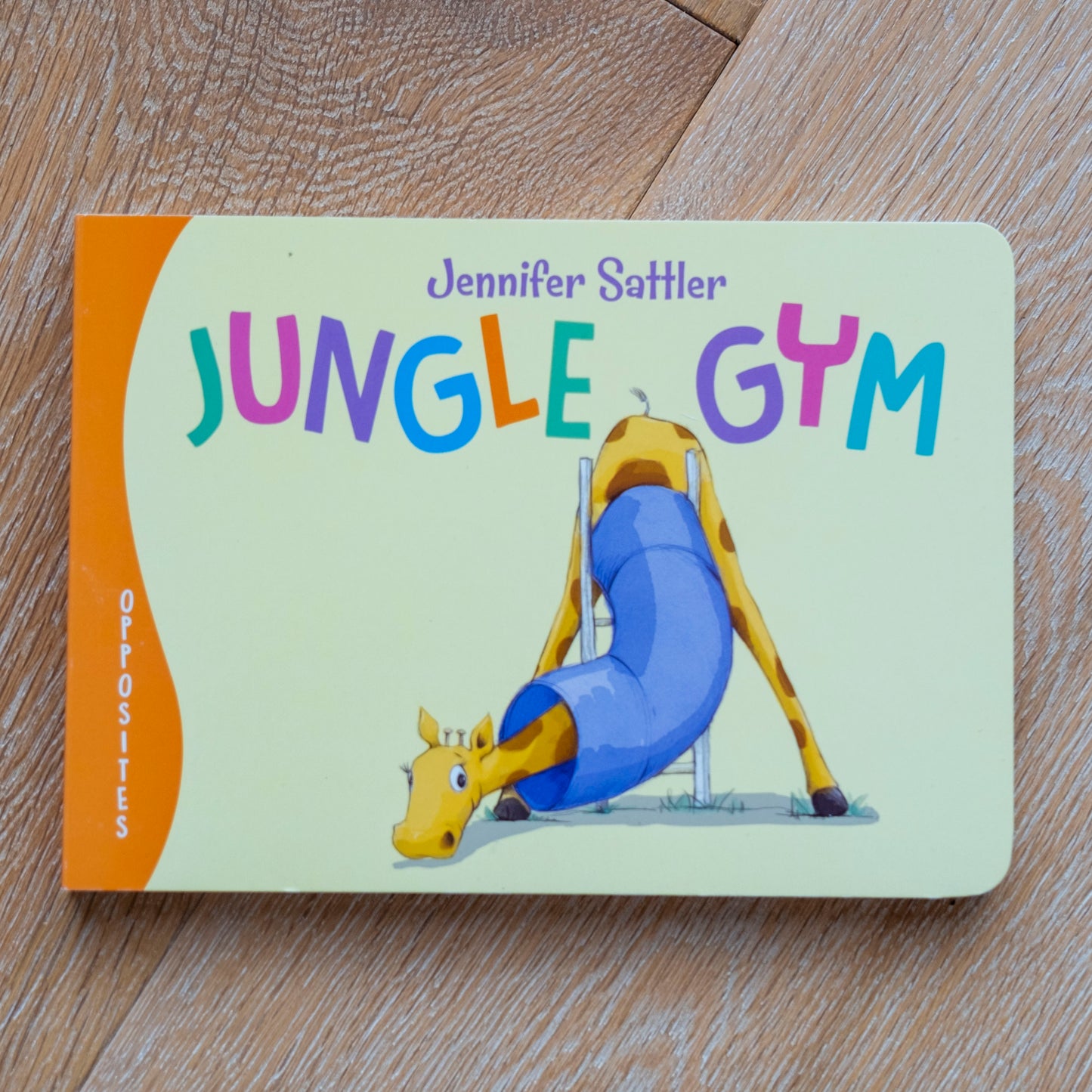 Jungle Gym Board Book