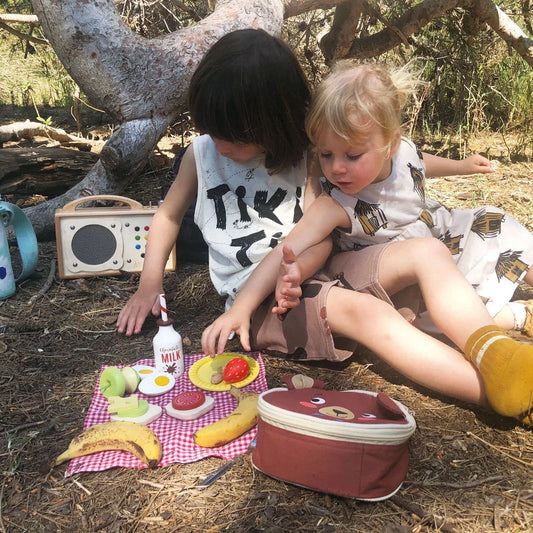 Little Bear's Picnic