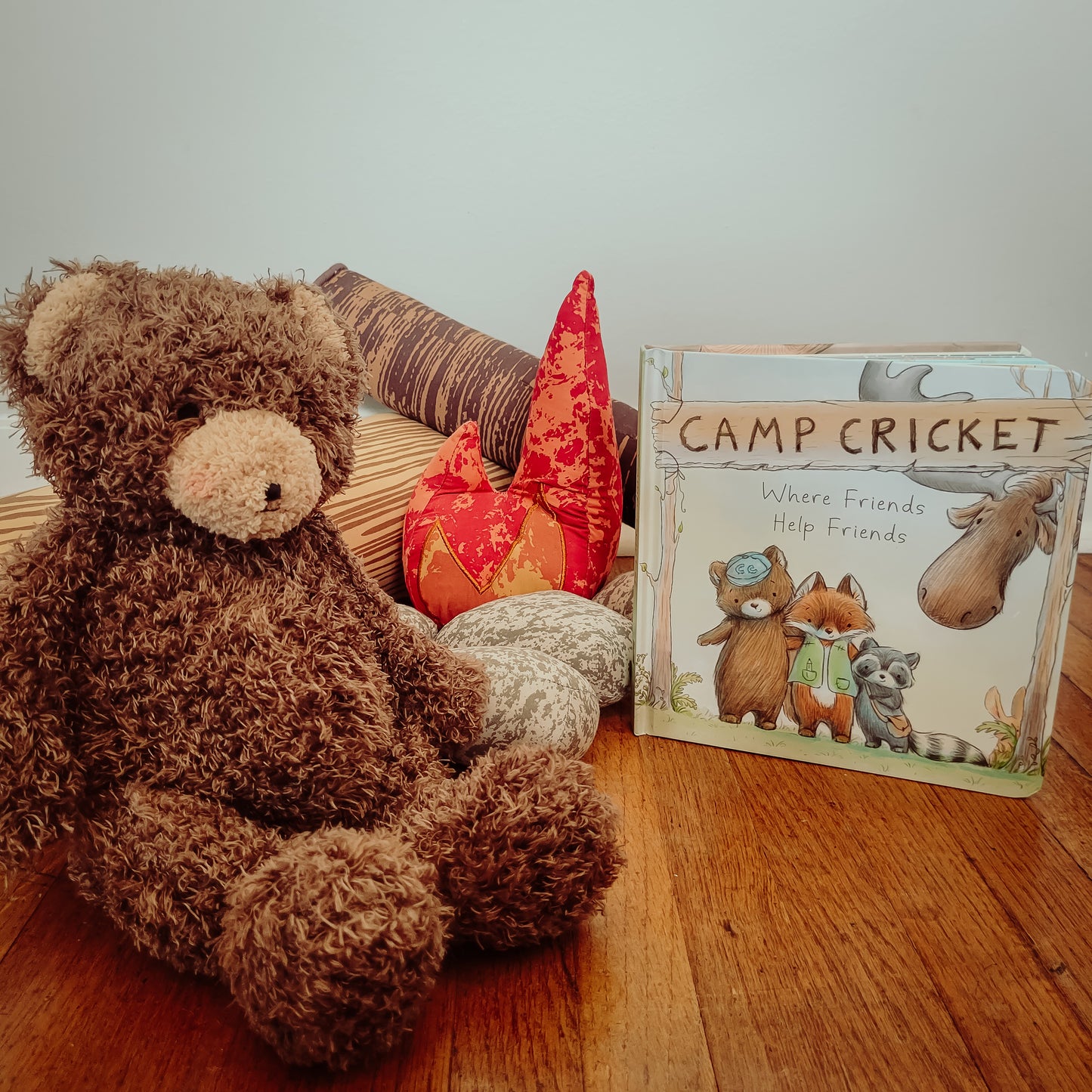 Camp Cricket Board Book