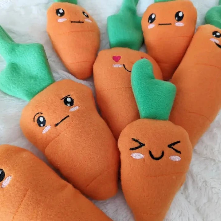 Carrot Family