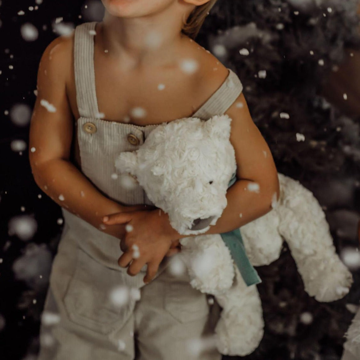 Boris Bear-ialis