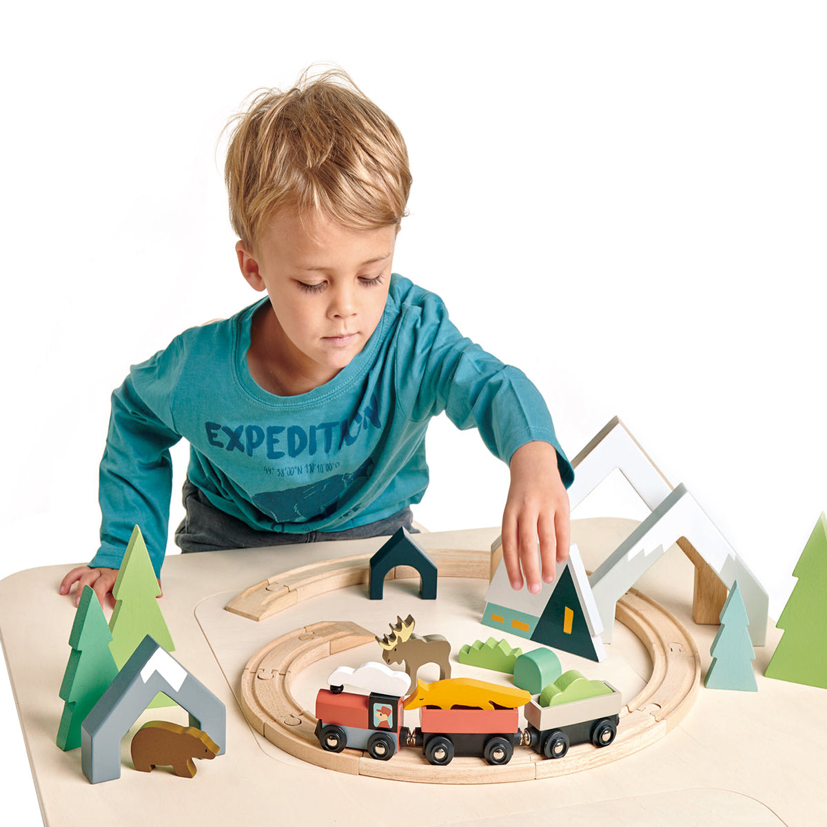 Treetops Train Sets